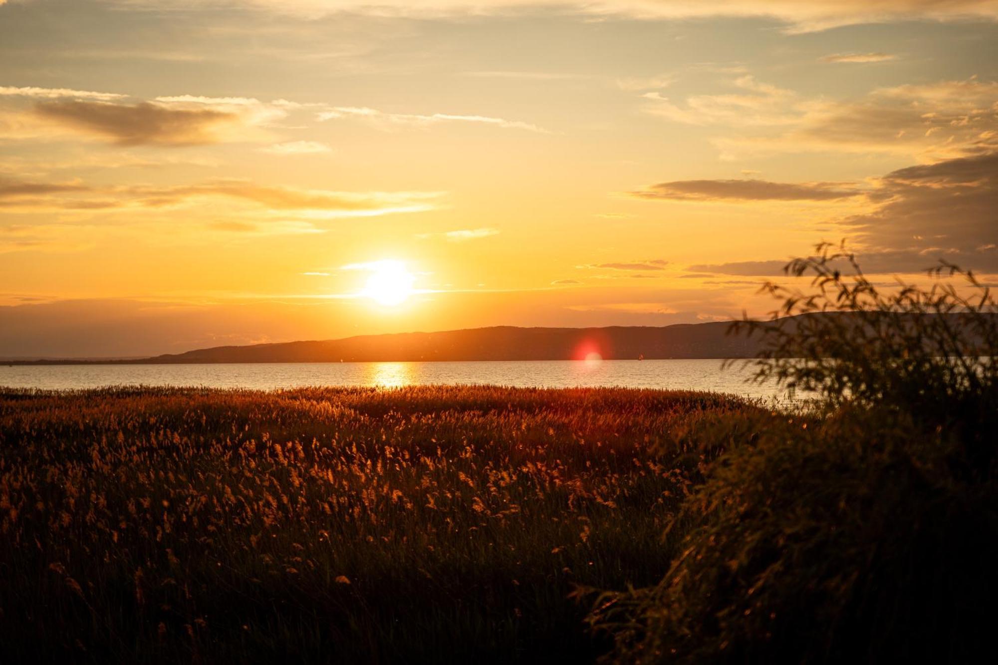 Balaton a kertben - Közvetlen vízparti apartmanok, csodálatos panorámával Balatonfenyves Kültér fotó